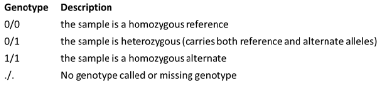 Possible genotypes in the data