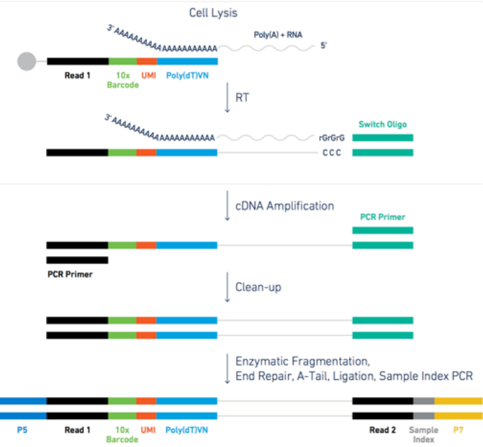 Annotated Data